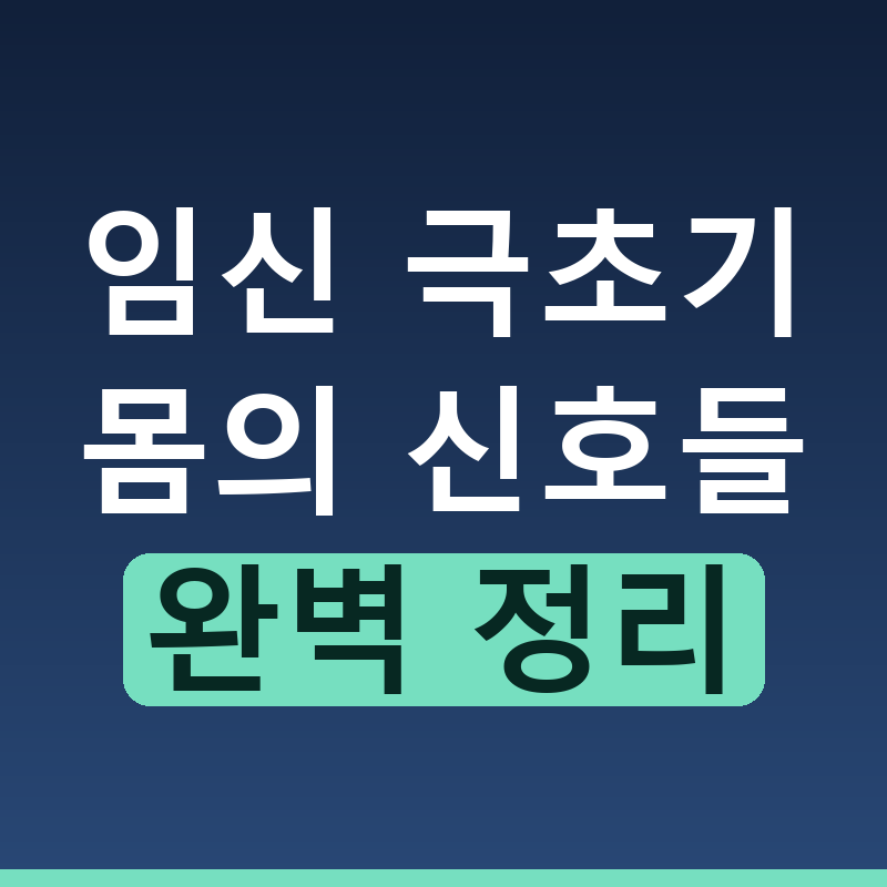 임신 극초기 증상 신호와 주의사항