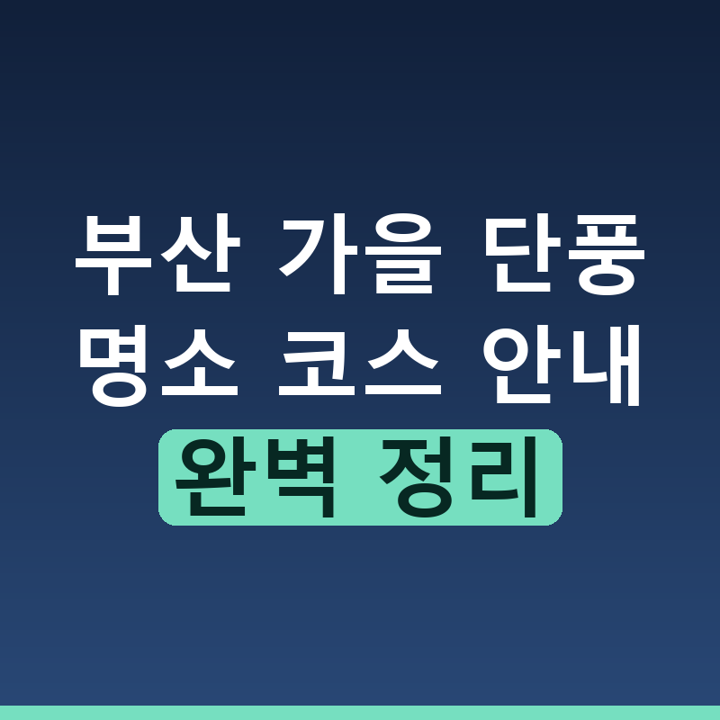 2026년 부산 단풍 놀이 명소 추천과 방문 팁