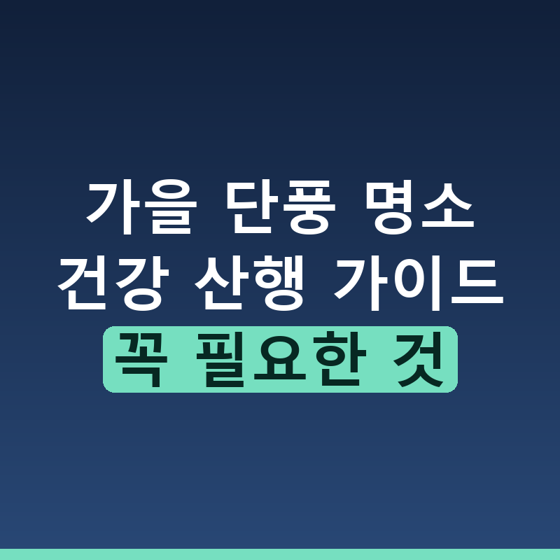 건강하게 즐기는 가을 단풍 놀이 명소와 안전 산행 팁