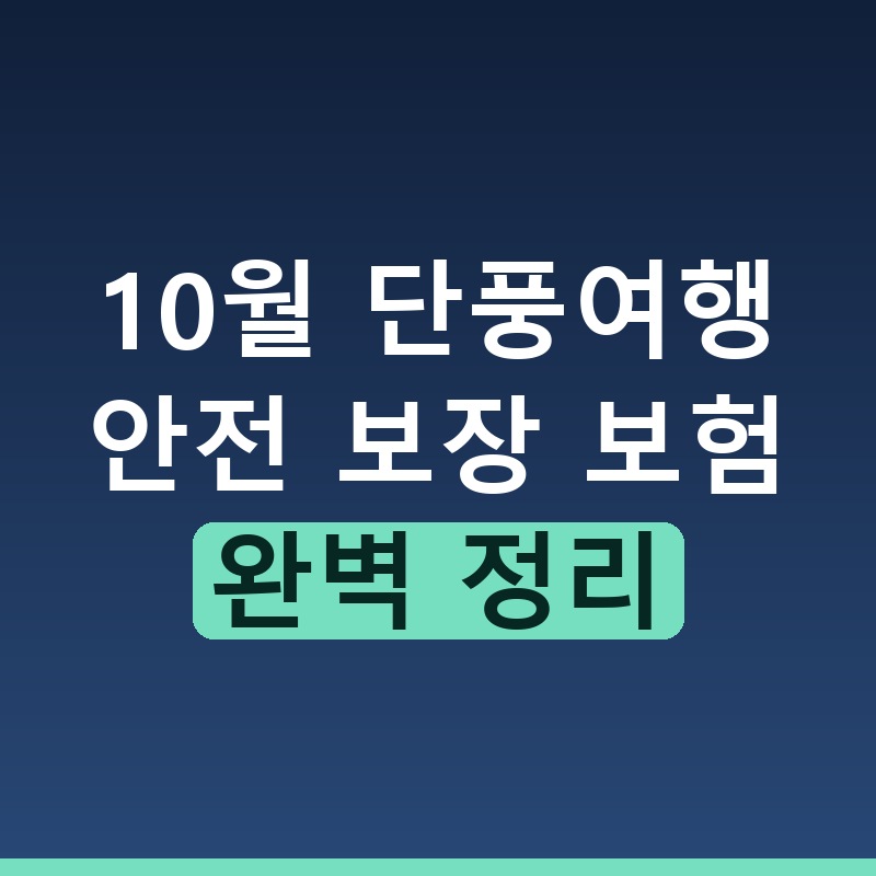 10월 단풍 구경 필수 준비물 국내 여행자보험과 운전자특약 총정리